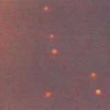 Adelfia 24.11.2012 (lanterne cinesi)